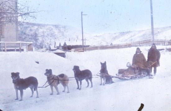 Travelling by Dog Sled, c1900.