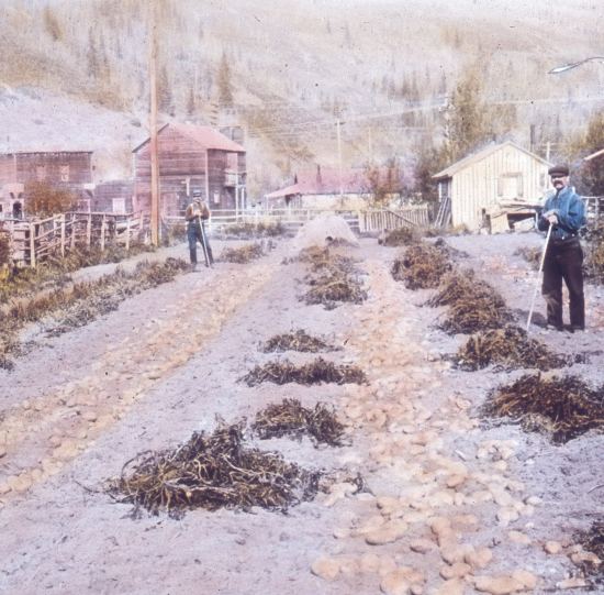 A Street in Dawson City, c1900.