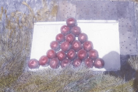 Pyramid of Apples, n.d.