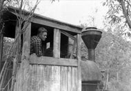Porter Engine, 1955.
