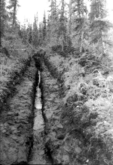 Enchantment Creek Ditch, c1952.