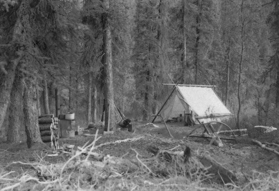 Camp on Enchantment Creek, c1950.