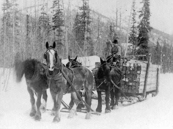 Hauling Lumber, c1907.