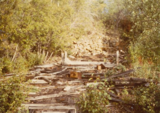 Remains of the School at Grand Forks, c1973