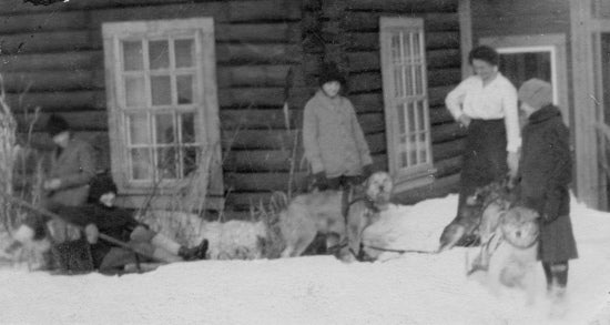 Readying the Dogsled, c1915.