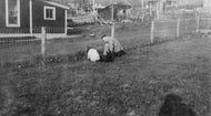 Working in the Garden, c1930.