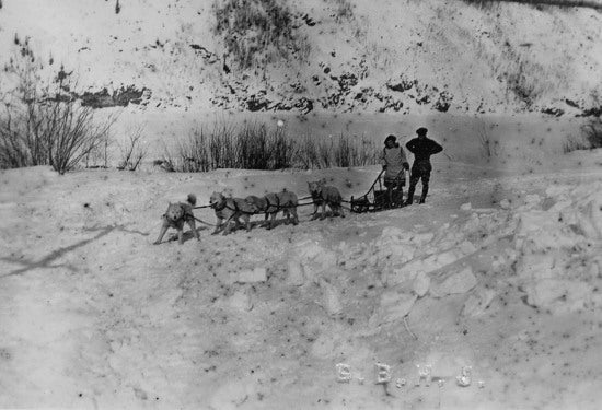 Travelling by Dogsled, c1930.