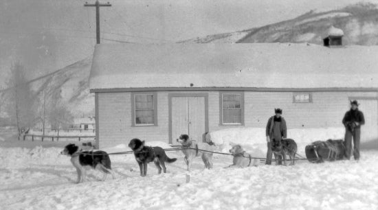 Travelling by Dog Sled, c1935.