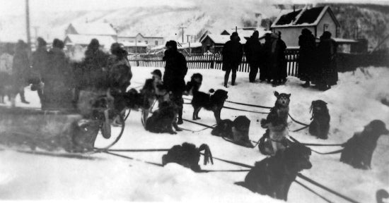Travelling by Dogsled, c1930.