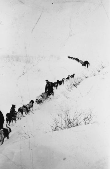 Travelling by Dog Team, c1930.