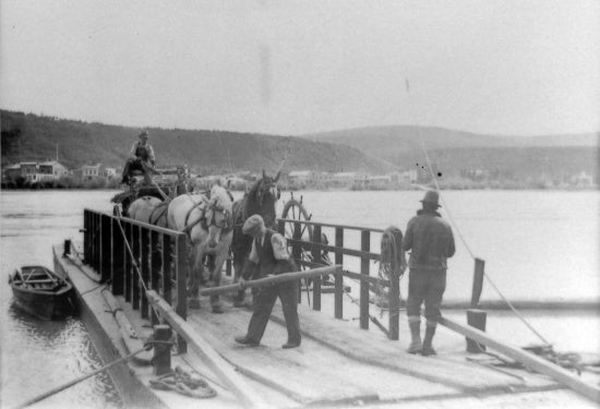 Angus McIntyre and a Four Horse Team on Dawson Ferry, July 1933.