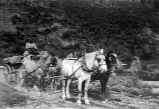 Gordon McIntyre en route to Walker's Fork, July 1933.