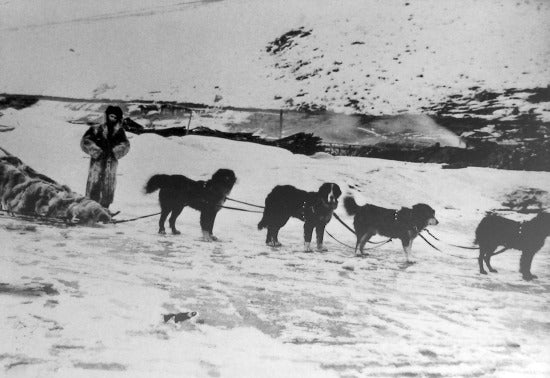Travelling by Dogsled, c1910.