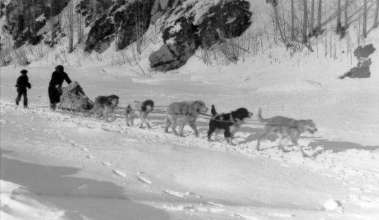Travelling by Dog Sled, c1937.