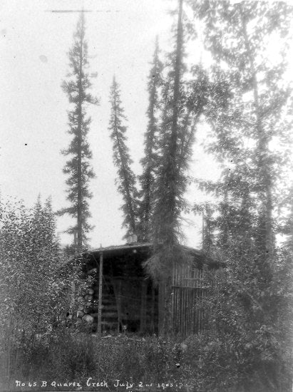 Cabin at 45 Below Discovery Quartz Creek, July 2,1905.