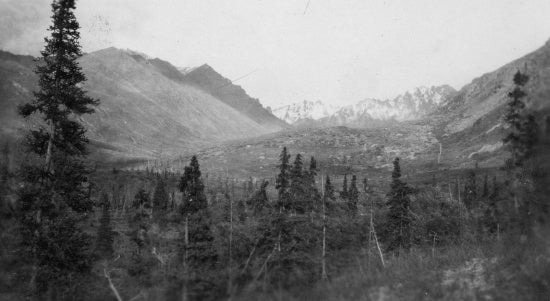 Scenic View of Ogilvie Range, n.d.