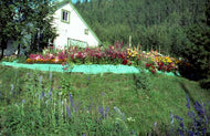 Hanulik Residence and Garden, c1960.