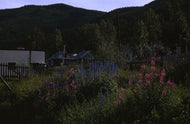 Gardens, c1965.