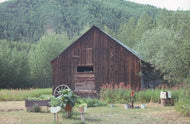 Gardens on Sister's Island, 1976.