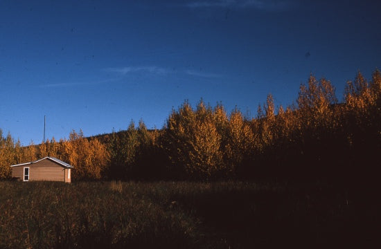 Jones Cabin on Sister's Island, 1965.
