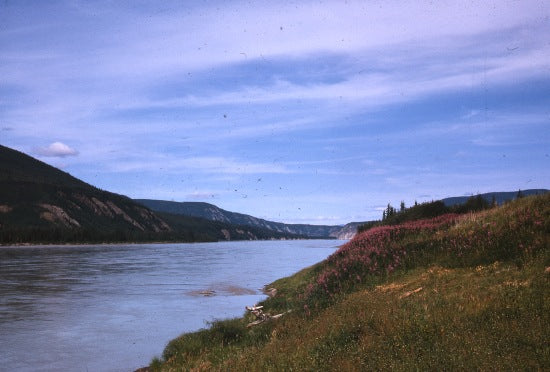 Yukon River from Moosehide Village, 1966.