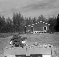 Jones Cabin, Sister's Island, 1976.