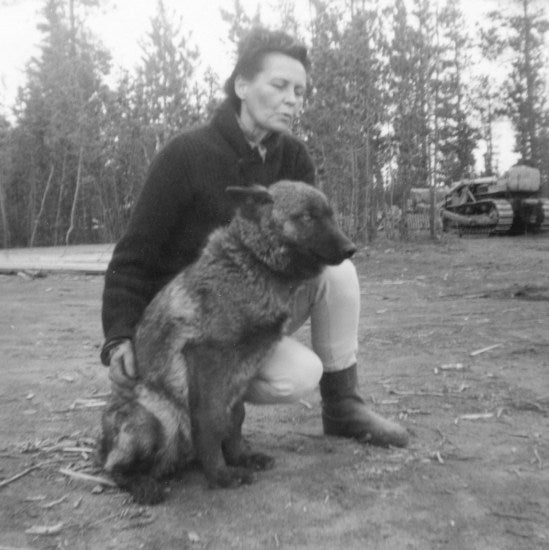 Orphaned Wolf Cub, 1965.