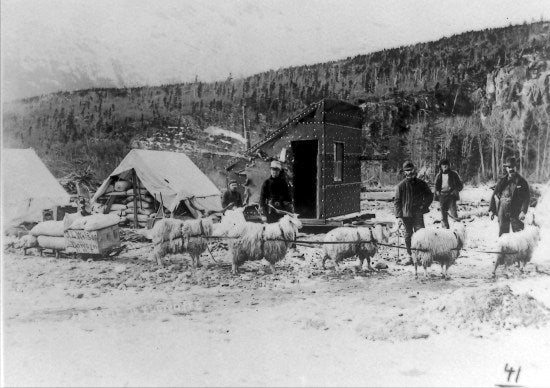 En Route to the Klondike, c1898.