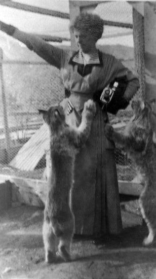 Mrs. J.W. Boyle and Lynx Kittens, c1915.