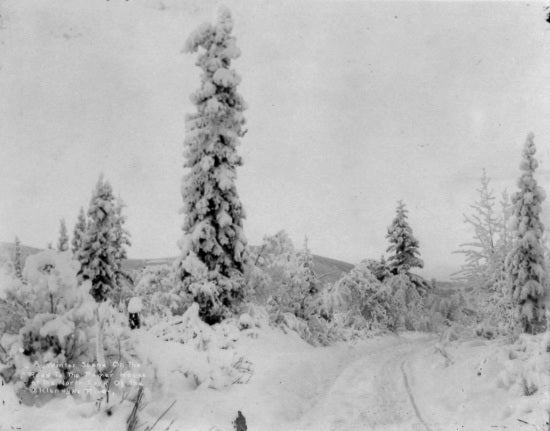 A Winter Scene, c1915.