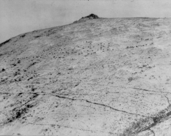 Caribou Feeding on the Hills, c1915.