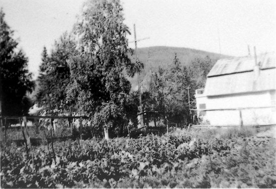 Marit Dines' Garden, c1930.