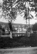 Victory Gardens During the Flood of 1924.