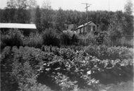 Marit Dines Garden, c1930.
