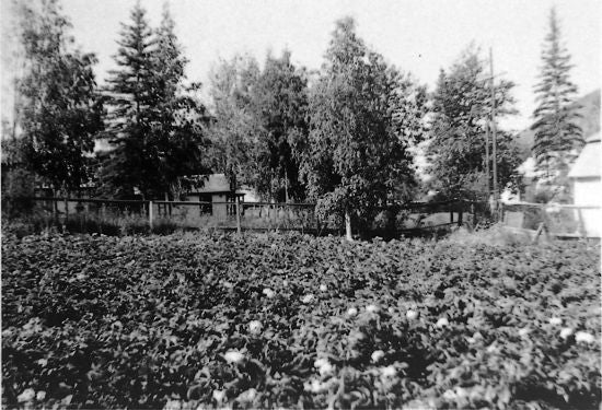 Marit Dines' Garden, c1930.