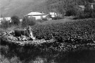 Marit Dines' in her Garden, c1930.