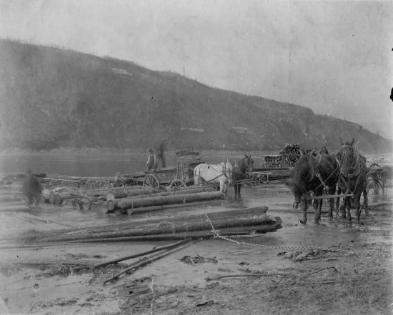 Hauling Logs, c1900.
