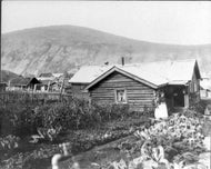 A Garden scene in Dawson Y.T., c1915.