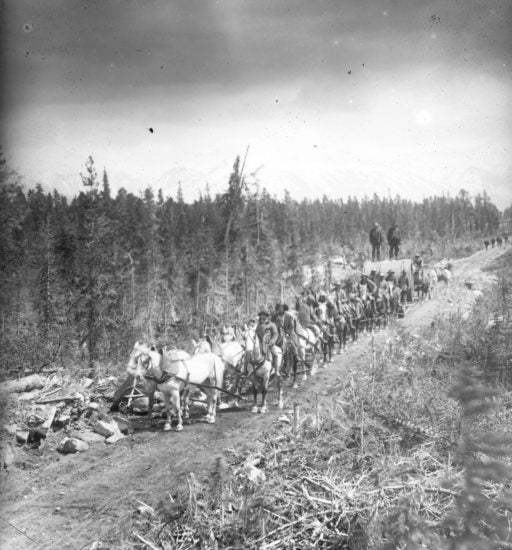 Pack Train, c1898.