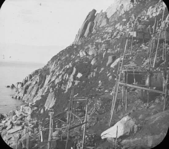 Log Cabins on Hillside, c1898.