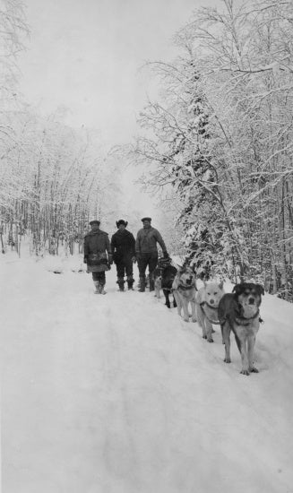 Hunting Party, January 1, 1941.