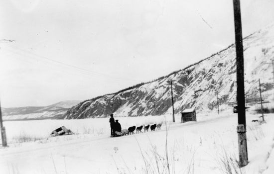 Travelling by Dog Sled, c1941.