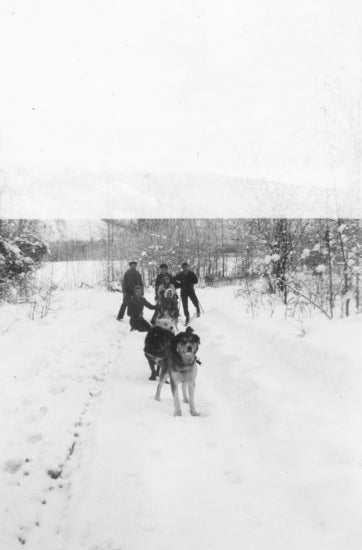 Travelling by Dog Sled, 1941.