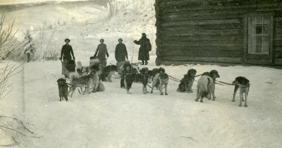 Travelling by Dog Sled, c1915.