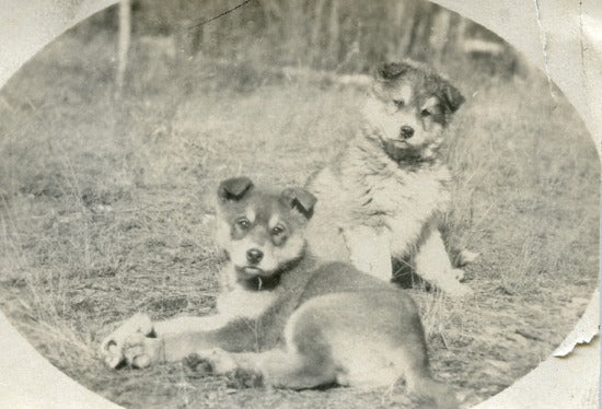 Wooly and Pete, c1917.