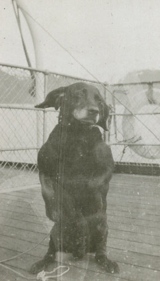 Beauty, c1916.