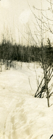 Winter Scene, n.d.