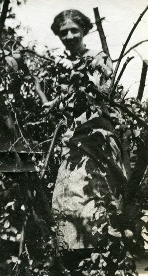 Margaret McCarter in Plum Tree, c1914.