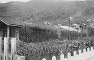 Northern Garden, c1926.