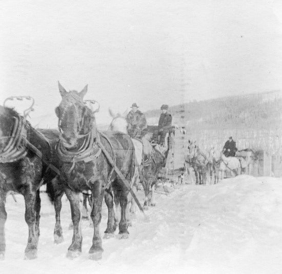 Travelling by Horse Drawn Sleigh, c1904.